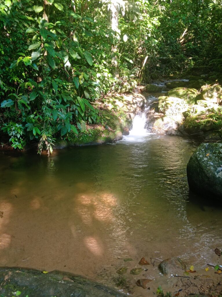 Serra do Bertholdo