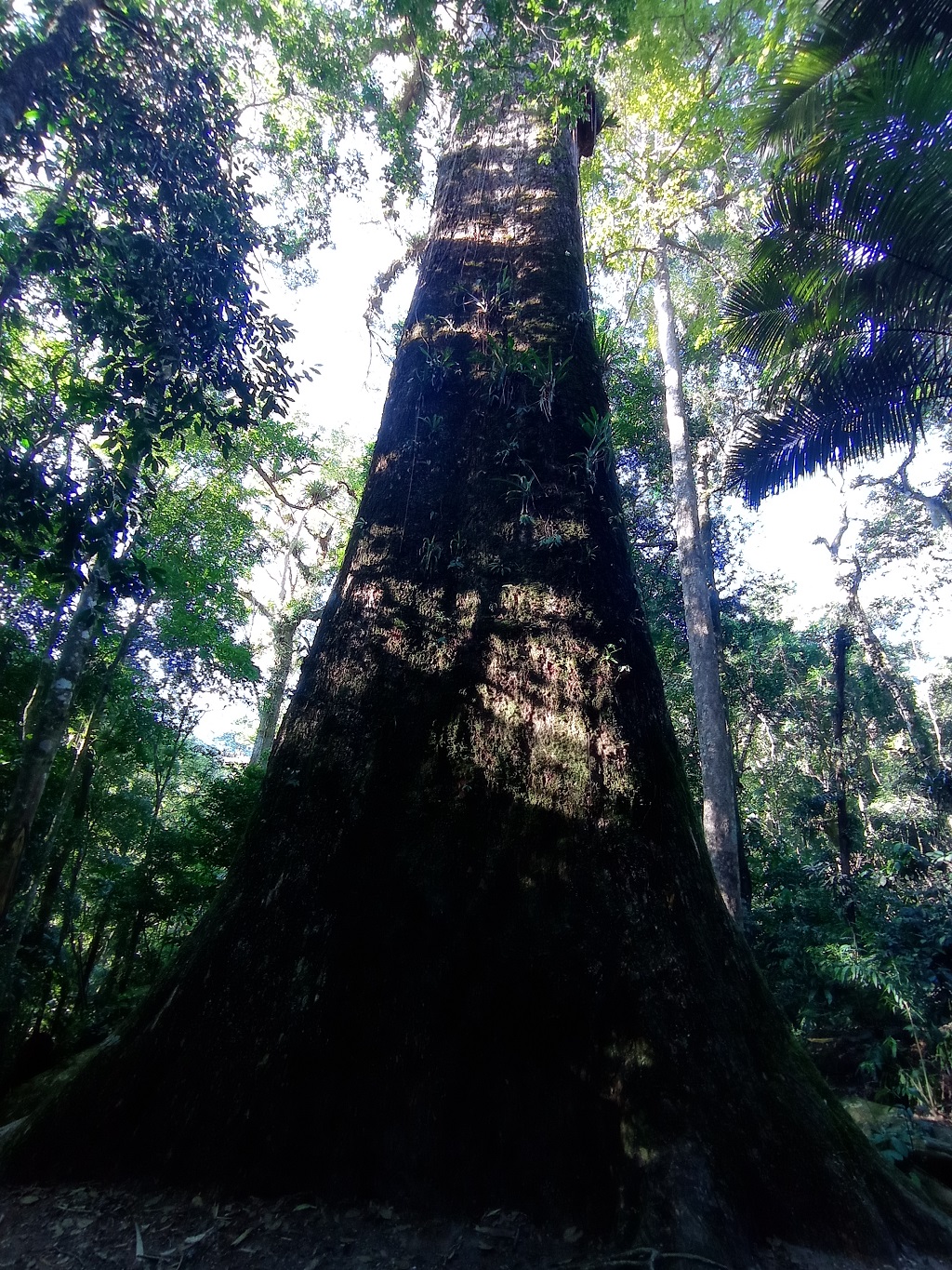 Parque Estadual dos Três Picos
