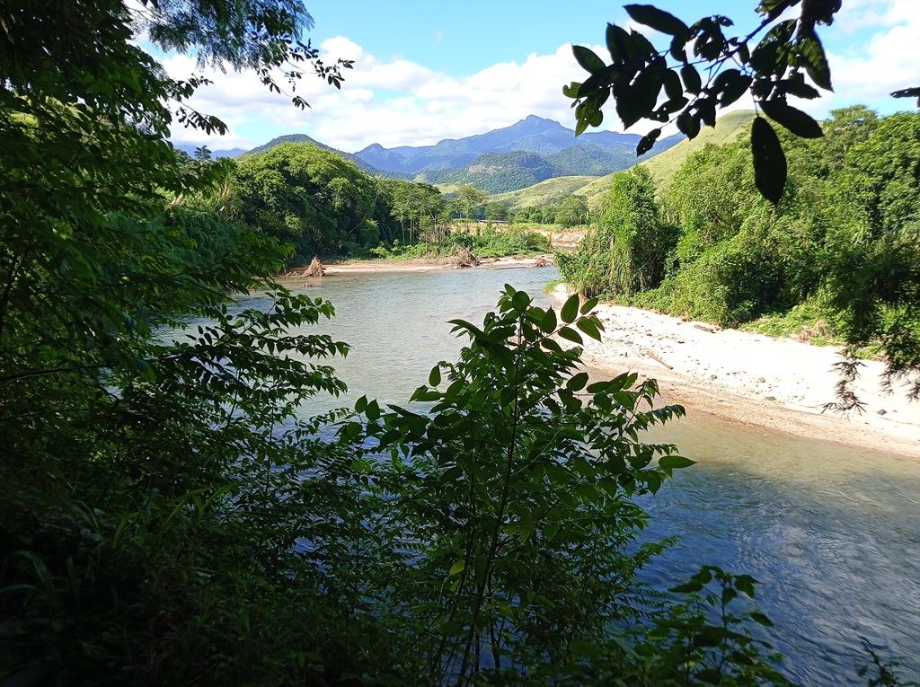 Parque da Cidade